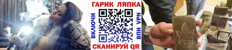 mega ссылки  Шагонар  ГАШИШ гарик 