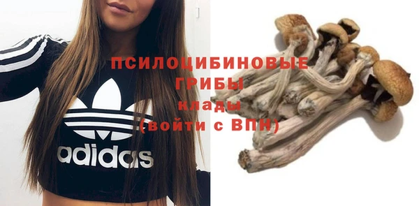 дживик Майский