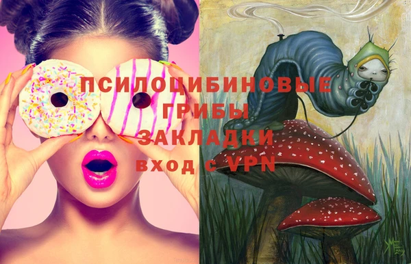 герыч Медвежьегорск