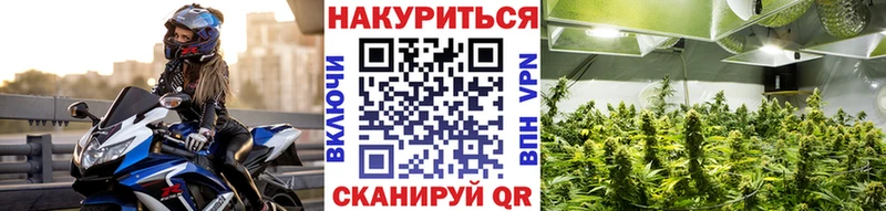 Бошки марихуана THC 21% Шагонар
